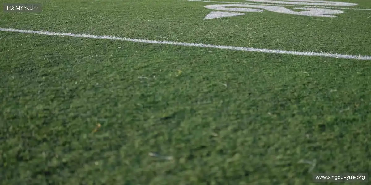 全场景手机游戏体验：智能匹配公平对局，新手大神都能尽兴